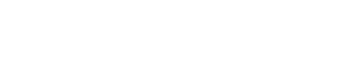 Diener GmbH